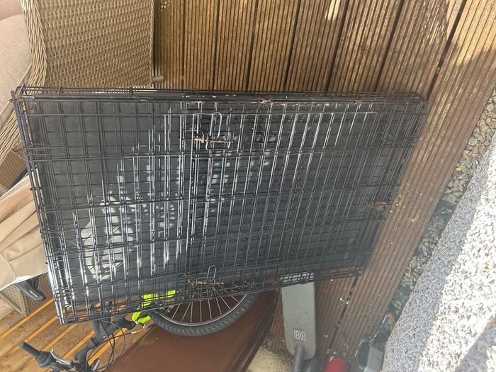 xl dog crate
