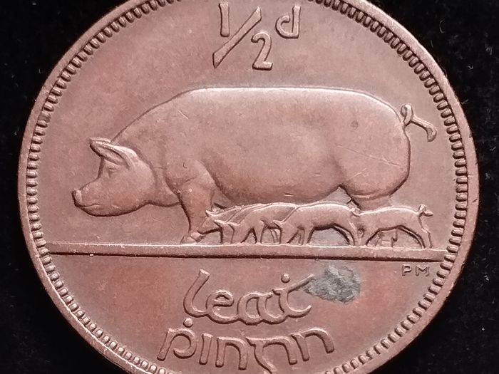 #769 - Ireland - 1928 - Half Penny - KM.2