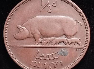 #769 - Ireland - 1928 - Half Penny - KM.2
