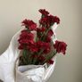 BNWT 3 long stems of artificial Carnations Image 4