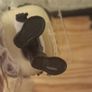 Tokyo Ghoul funko Image 7