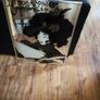 mirror vintage designer Image 2