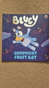 Bluey Goodnight Fruit Bat
