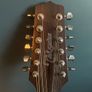 12 string Image 4