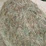 Hay Bales Image 4
