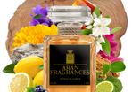 Byredo Bal d'Afrique Inspired Extrait de Parfum by Aran Fragrances (50% Perfume Oil Content)