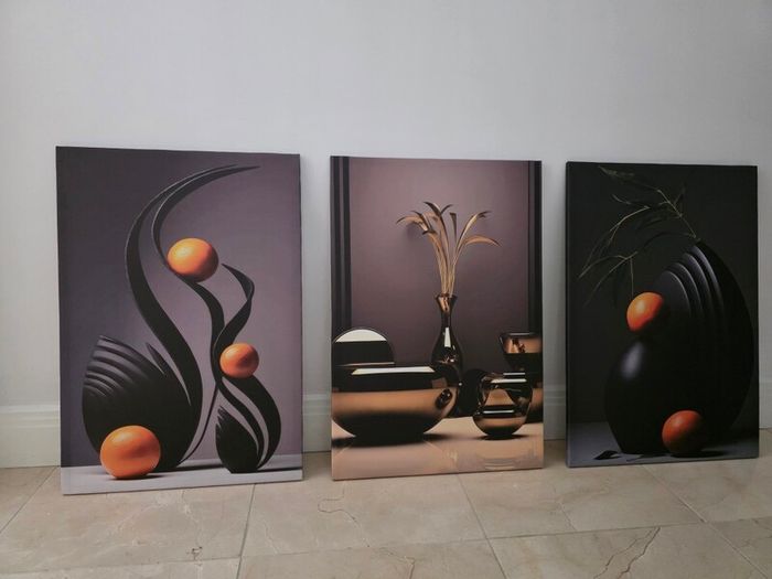 3 canvas framed 46x66cm each size