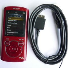 Sony MP3 Walkman NWZ-E463, 4GB (works well)