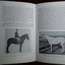 Points of the Horse, Capt. M. Horace Hayes Image 7