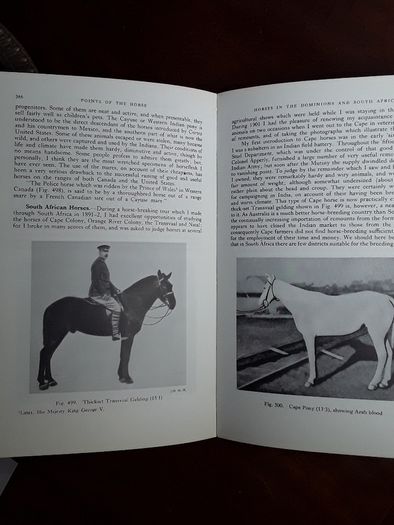 Points of the Horse, Capt. M. Horace Hayes