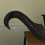 African Water Buffalo Horns Image 6