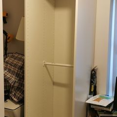 IKEA Pax Wadrobe (50cm width) and Navy Door