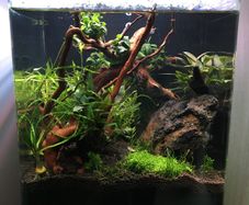 Aqua One AquaNano 30 22L Fish Tank