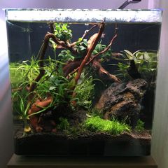 Aqua One AquaNano 30 22L Fish Tank