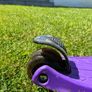 Micro Scooter Image 7