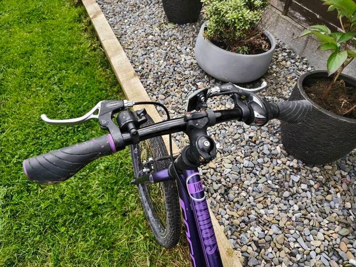 Kids bike Carrera Saruna 20 inches.