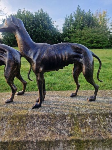 Pair of greyhounds