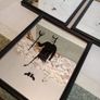 Vintage Set of 3 Unusual Devil Mirrors Image 5