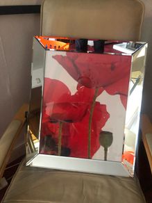 Mirrored Frame of Poppies Art
