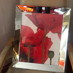 Mirrored Frame of Poppies Art