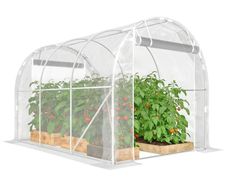 6m Garden Tunnel Greenhouse tunnel greenhouse 195x295x195cm galvanized steel frame, 150 g/m PE cover transparent
