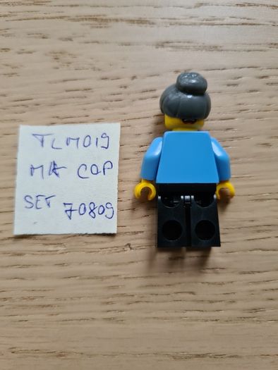 lego tlm019 ma cop set 70809