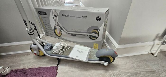 Electric kids scooter Ninebot ZING C8