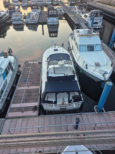 Princess 35
