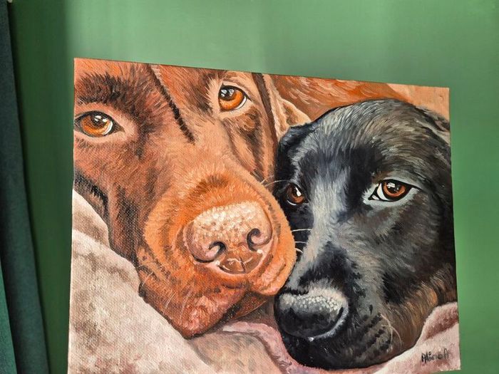 Black & Chocolate Labrador - oil painting