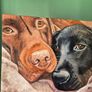 Black & Chocolate Labrador - oil painting Image 6