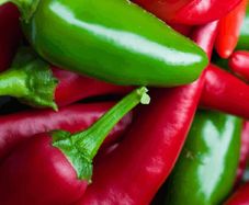 (P) Chili Peper Jalepino seeds 0.5g (605675)