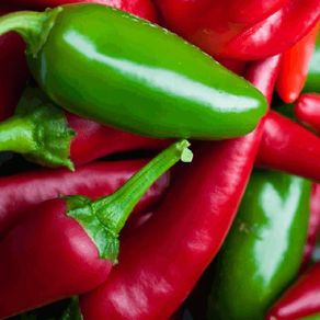 (P) Chili Peper Jalepino seeds 0.5g (605675)