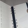 20 mth planner Image 3