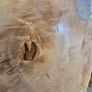 Live Edge Sycamore Slab Image 3