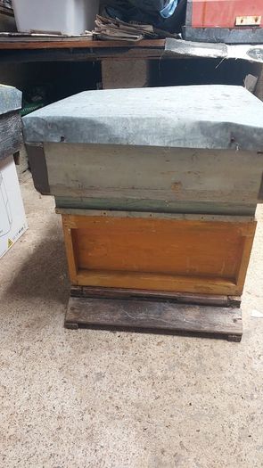 Red Deal National Beehives