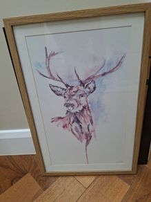 Framed Print