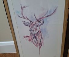 Framed Print
