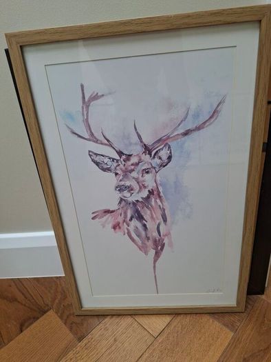 Framed Print