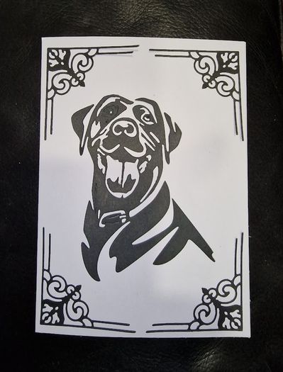 Dogs:- Labrador Blank Greeting Card