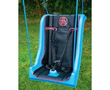 Special Needs Swing