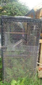 large cage