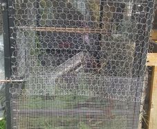 large cage