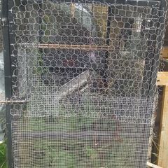 large cage
