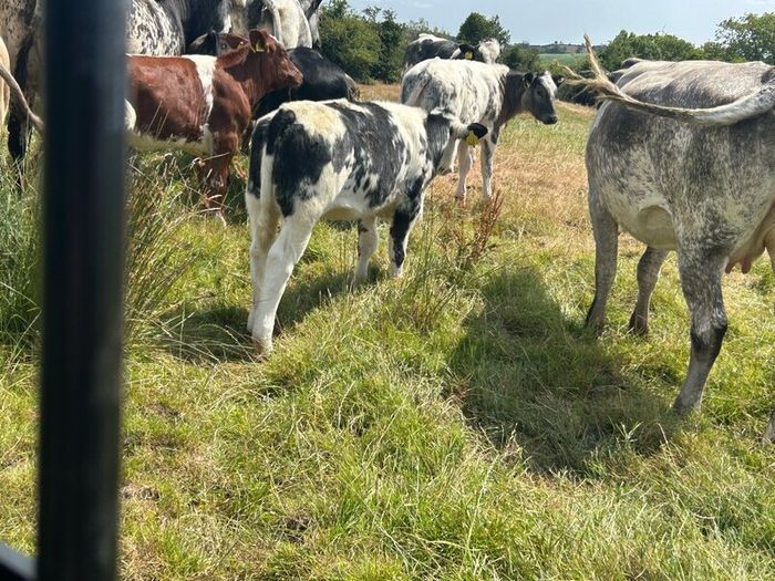 Farming