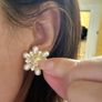 earrings Image 8