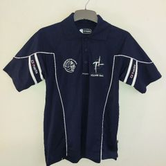 kildare gaa top