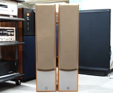 Yamaha NS-300