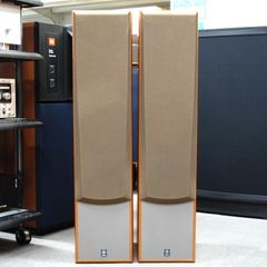 Yamaha NS-300