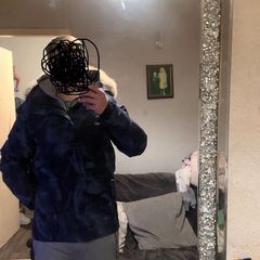 canada goose