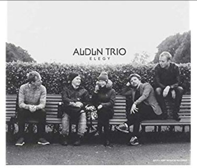 Audun trio Elegy vinyl lp